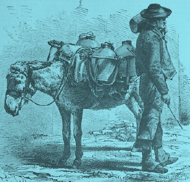 Burro Aguador