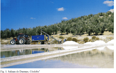 Salinas