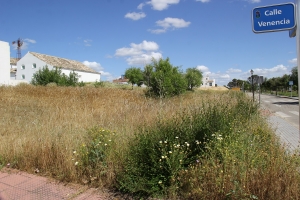 Un bando municipal recuerda la obligaci&oacute;n de mantener desbrozados los solares urbanos