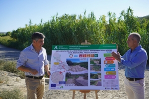 El Ayuntamiento de Montilla y la Junta de Andaluc&iacute;a mejoran el estado de la v&iacute;a pecuaria de &ldquo;La Zarza&rdquo; con una inversi&oacute;n cercana a los 300.000 euros